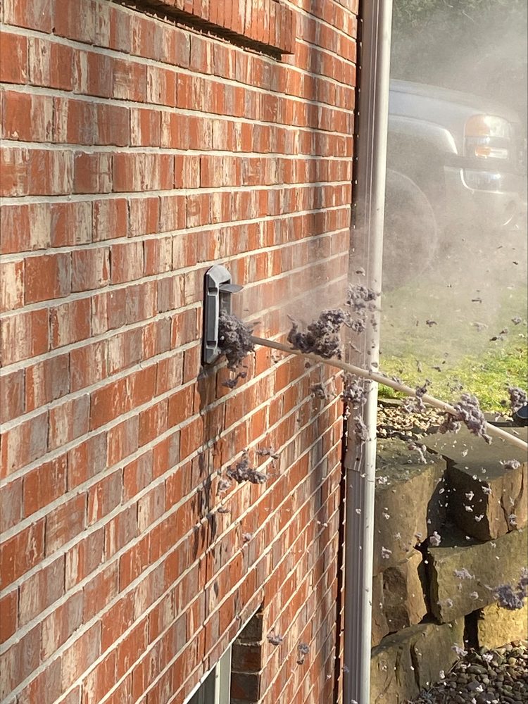 HASGOE CLEANING SYSTEMS INC