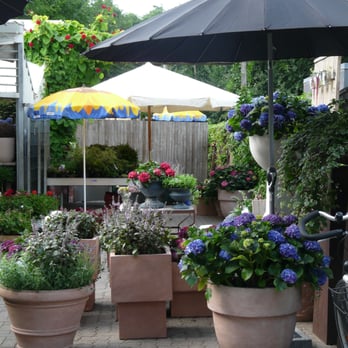blumen kaiser - Florists Near Me - Hamburg, HH