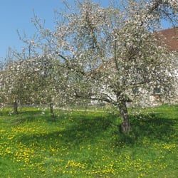 Weberbartelweg