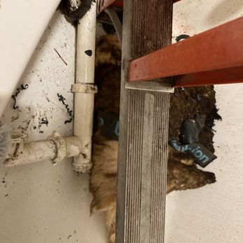Maple Leaf Property Management - bathroom - Property Management Near Me - Seattle, Washington