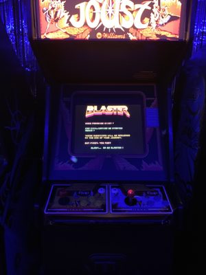 Dumb Records by null