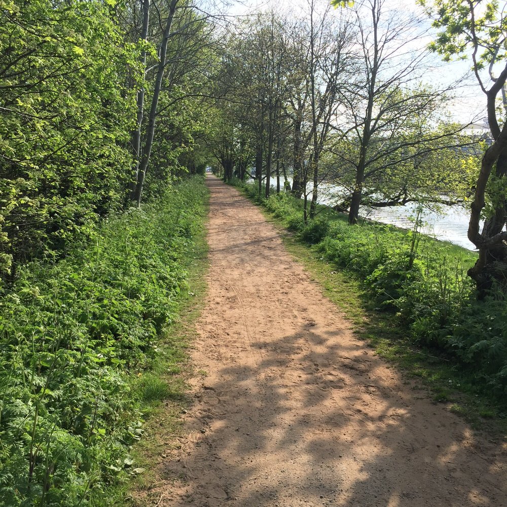 Victoria Park - The scenic path - Parks Near Me - Belfast, BFS