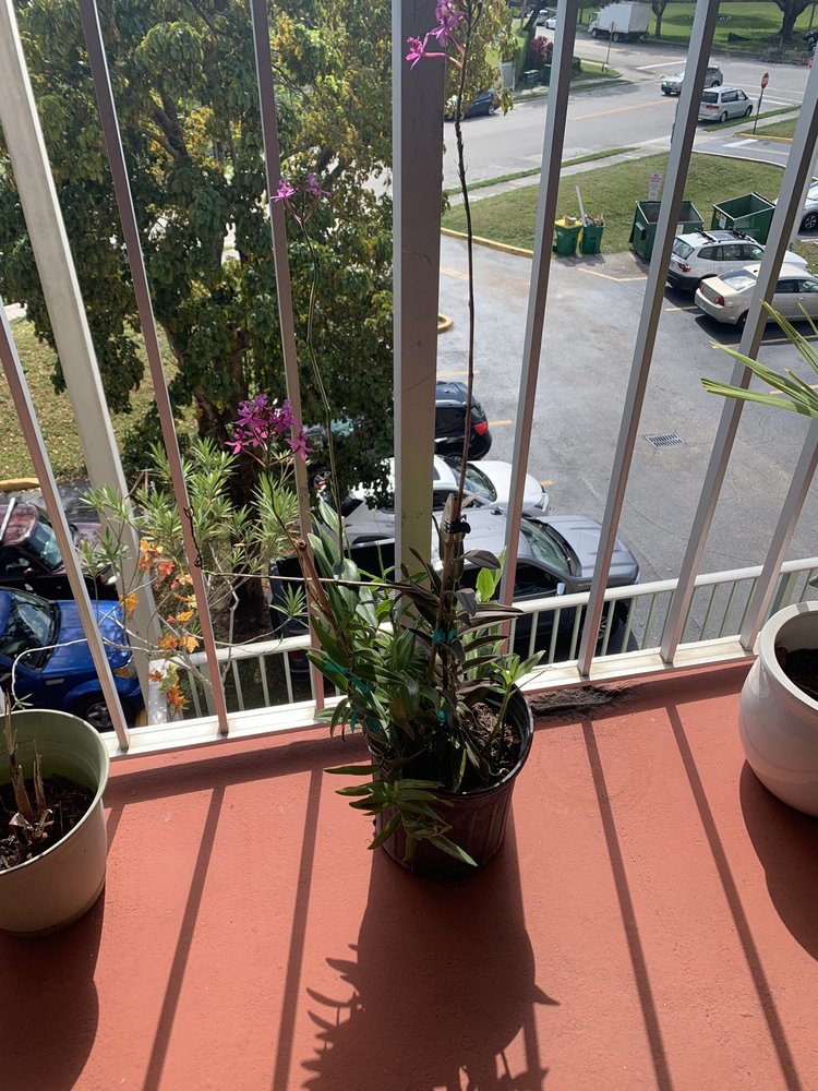 KILLIAN GROWERS NURSERY Updated August 2024 SW Killian Drive 99 Ct