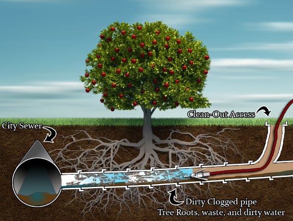 Slide of Tritan Plumbing