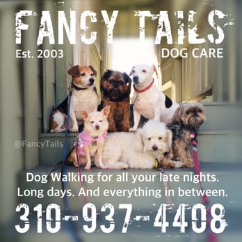 Fancy Tails - Best pic ever. - Dog Walkers Near Me - Hermosa Beach, California Fancy Tails - Best pic ever. - Dog Walkers Near Me - Hermosa Beach, California