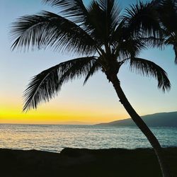 Maui Rental Management