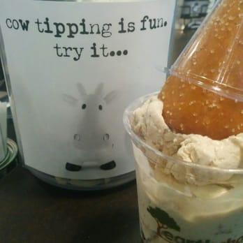 Sweet Cow - Oatmeal Cookie in a Pretzel Cone! - Ice Cream & Frozen Yogurt Near Me - Denver, Colorado