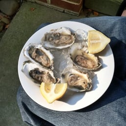 Oysters! Oysters!