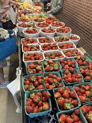 Greensboro Farmers Curb Market by null