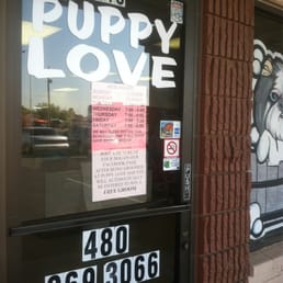 Professional & caring all breed dog grooming.