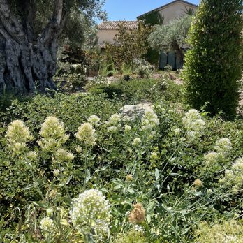 Monserate Winery - Landscape is gorgeous! - Wineries Near Me - Fallbrook, California
