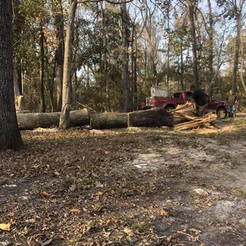 Climbers Land Services - Tree Services Near Me - Morriston, Florida Climbers Land Services - Tree Services Near Me - Morriston, Florida