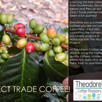 Theodore's Coffee - coffee beans on a tree - Coffee & Tea Near Me - Owosso, Michigan Theodore's Coffee - coffee beans on a tree - Coffee & Tea Near Me - Owosso, Michigan