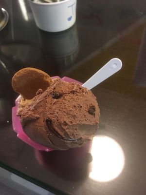 Bambino Scoops by null