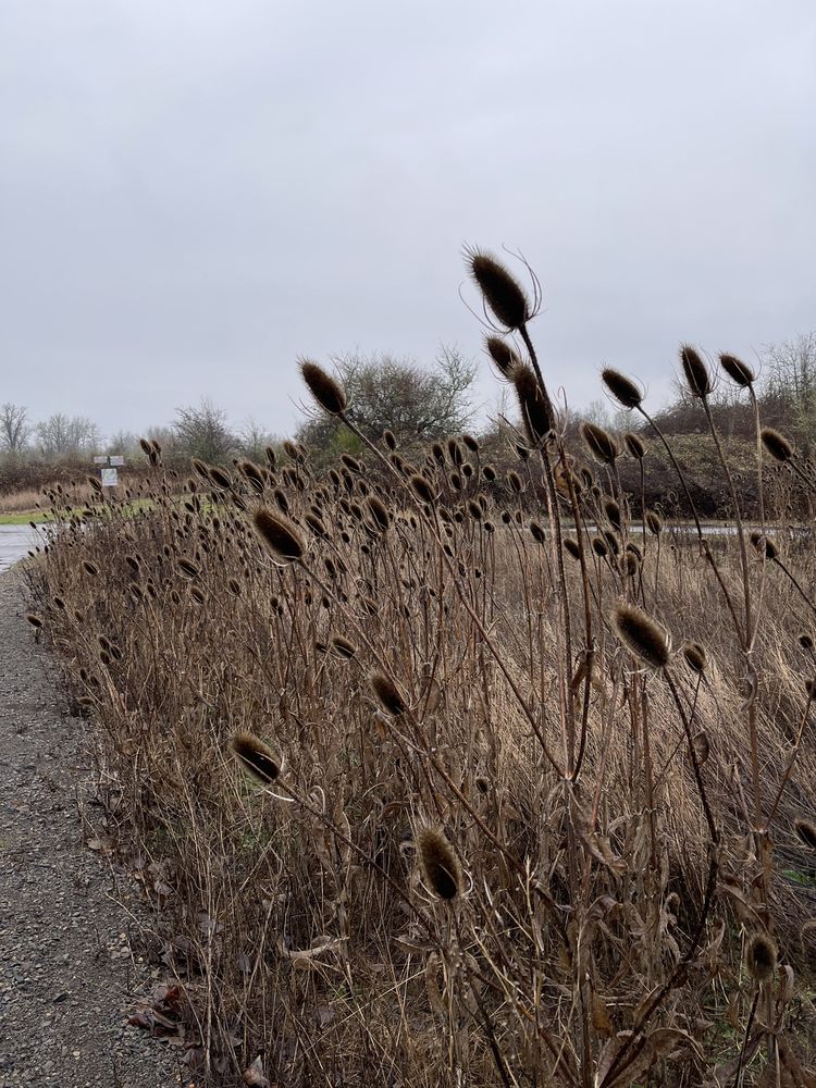 MINTOBROWN ISLAND PARK 116 Photos & 47 Reviews 2200 Minto Island