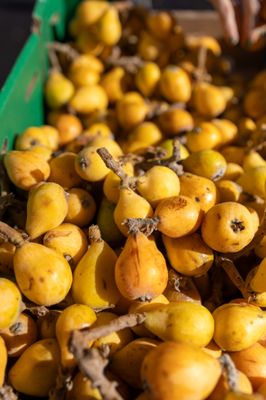 Upcountry Farmer's Market by null