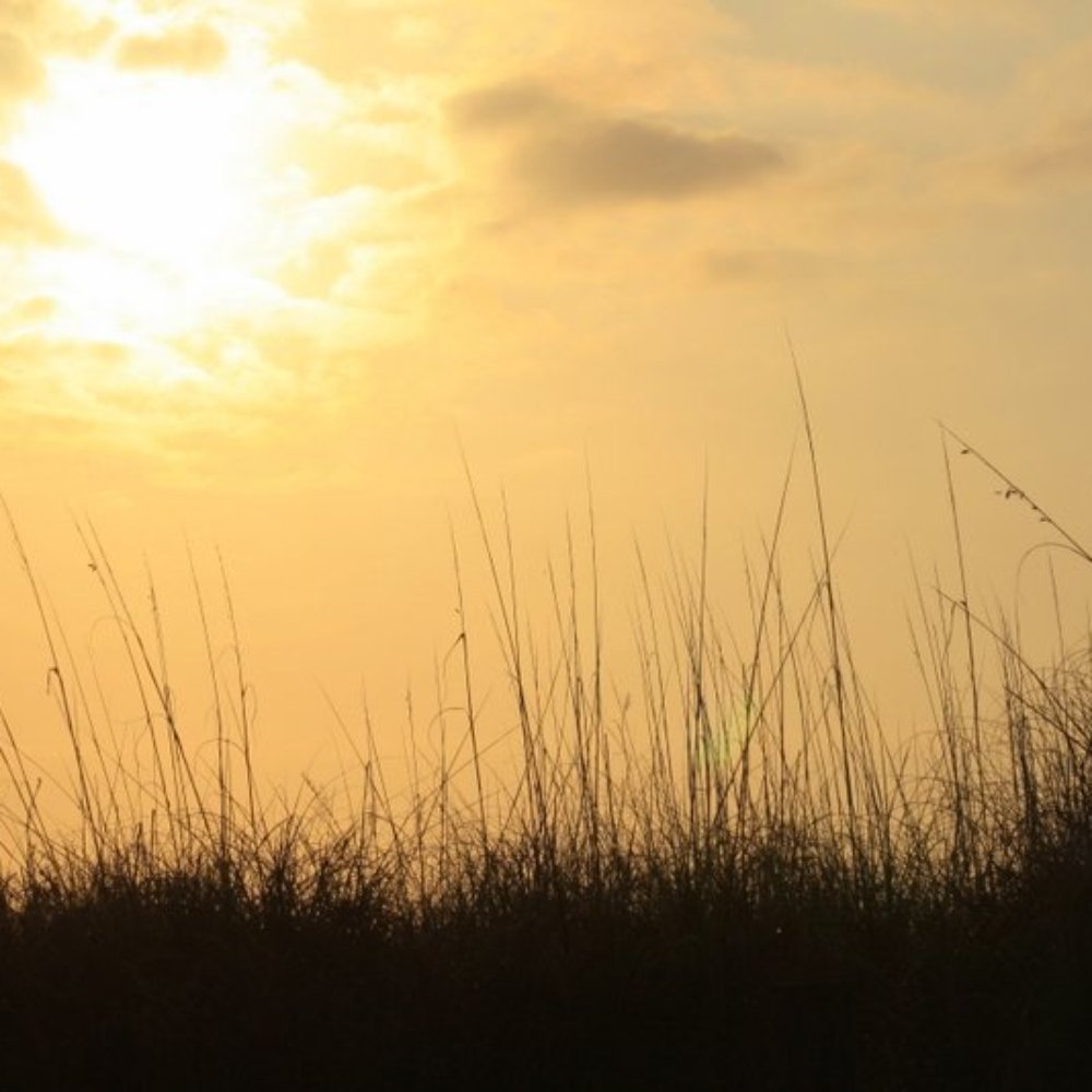 Myrtle Beach Travel Park - Sunrise over the dunes at MBTP - Parks Near Me - Myrtle Beach, South Carolina Myrtle Beach Travel Park - Sunrise over the dunes at MBTP - Parks Near Me - Myrtle Beach, South Carolina