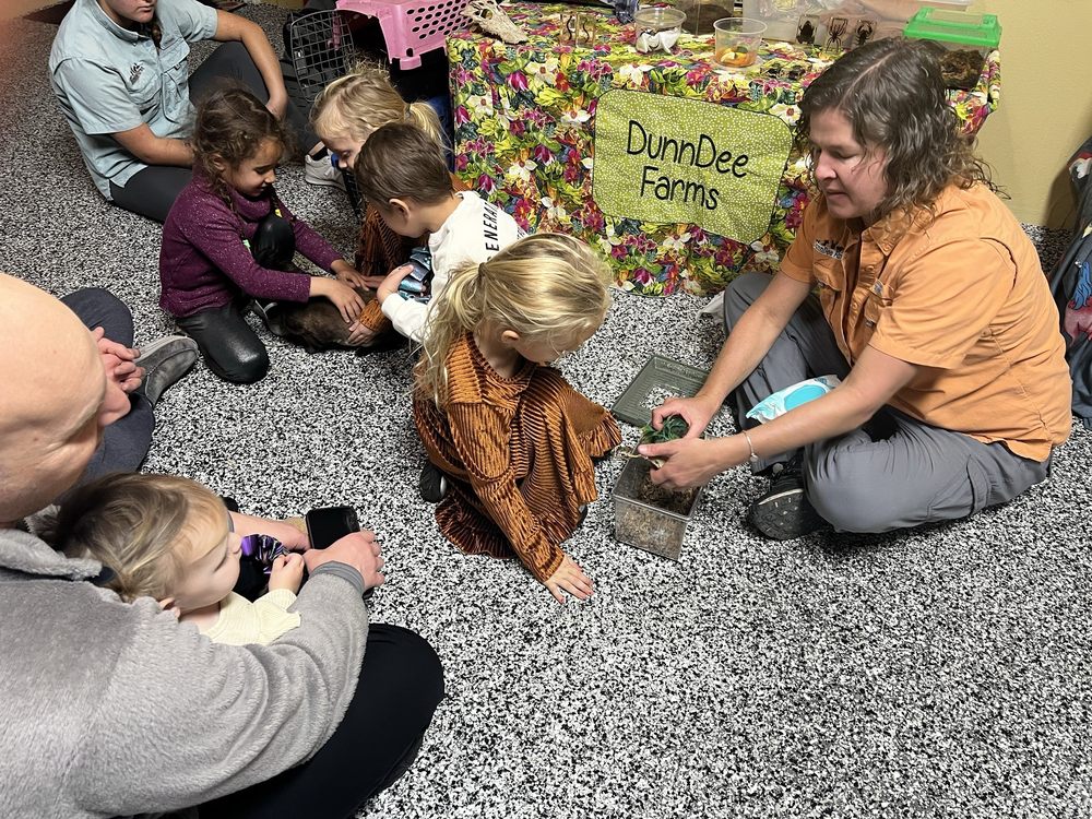 DunnDee Farms - equestrian in New Port Richey, FL