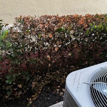 Sutter Filtration Systems - Dead landscaping - Water Purification Services Near Me - Coral Springs, Florida Sutter Filtration Systems - Dead landscaping - Water Purification Services Near Me - Coral Springs, Florida