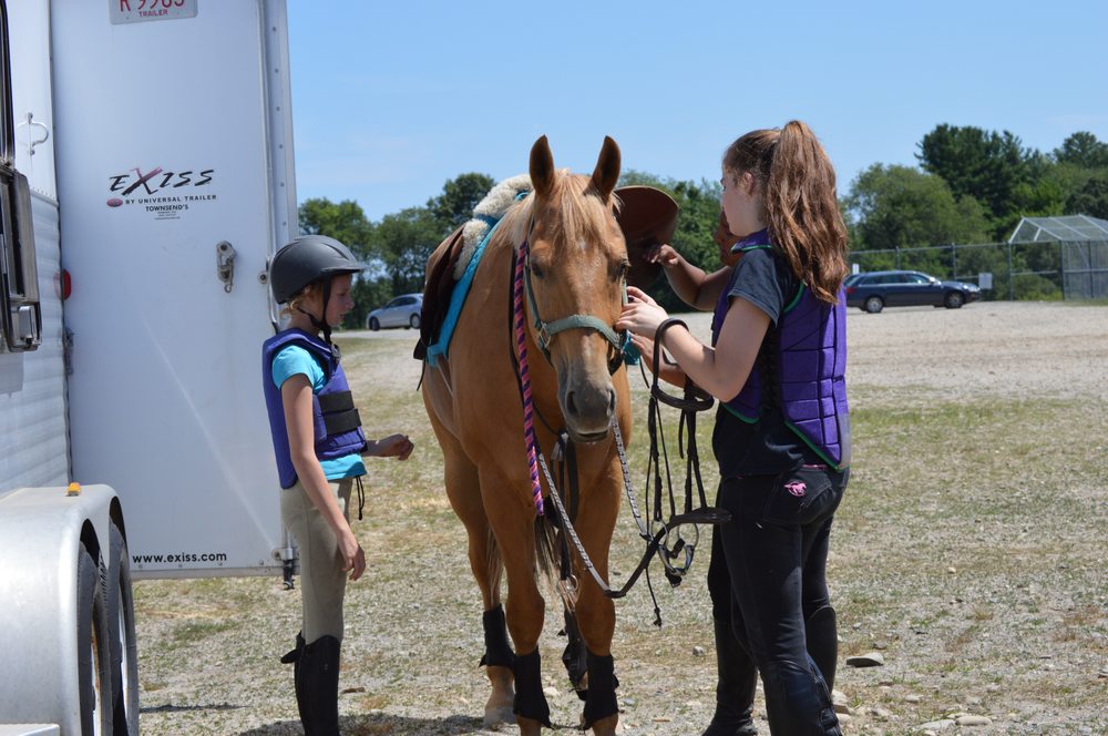 Plum Grove Equestrian - equestrian in Groveland, MA