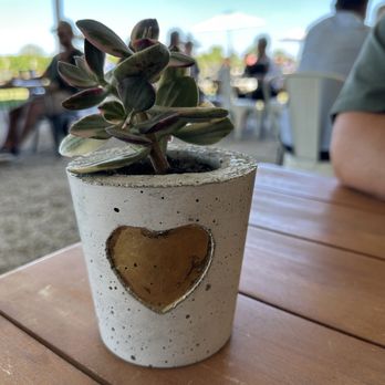 Back 10 Cellars - Wine Tasting Room Near Me - Beamsville, Ontario