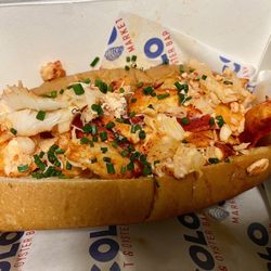 Colo Market & Oyster Bar-Downtown - Connecticut Lobster Roll