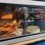 Photo of V I Pets - Holland