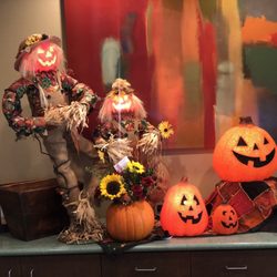 Aesthetic Dental Designs - Come see Our Harvest Decorations.