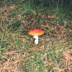 Kleine Wanderung