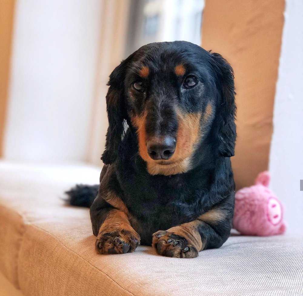 THE BAR METHOD NEW YORK CITY NOHO 27 Reviews 678 Broadway, New