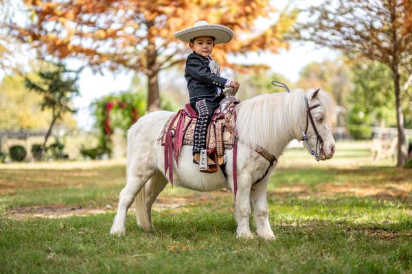Charrito on his pony 🐴 - Snoopy is not only as gentle as they come we always have a handler with you guys to assure parents peace of mind while dealing with our animals. 🐴 Charrito on his pony 🐴 - Snoopy is not only as gentle as they come we always have a handler with you guys to assure parents peace of mind while dealing with our animals. 🐴