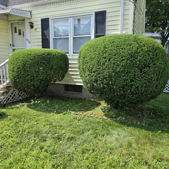 Chico's Landscaping - Landscaping Near Me