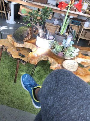 Photo of Qi Kratom CBD Tea - Washington, DC, DC, US.