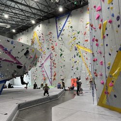 Fiddlehead Farm and Forest - Climbing area