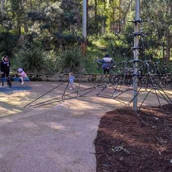 Blackbutt Reserve - Parks Near Me Blackbutt Reserve - Parks Near Me
