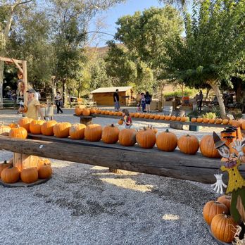 Greenspot Farm - Farmers Market Near Me - Mentone, California