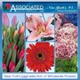 Photo of Associated Cut Flower Company