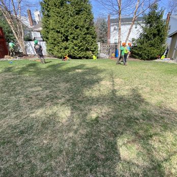 Anthony's Affordable Tree Care - Tree Services Near Me - Washington, New Jersey