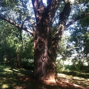 Pheasant Run Farm - Beautiful old maple - Bed & Breakfast Near Me - Lancaster, Pennsylvania