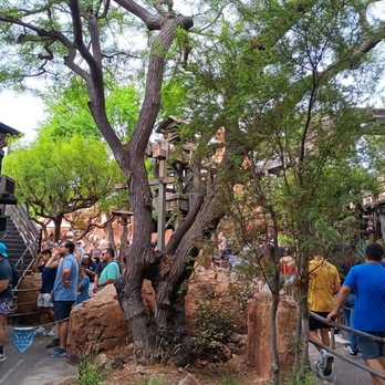 Big Thunder Mountain Railroad - Great view while standing in line. - Amusement Parks Near Me - Anaheim, California
