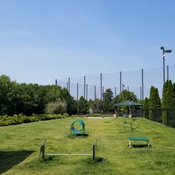 PetSafe Village Dog Park