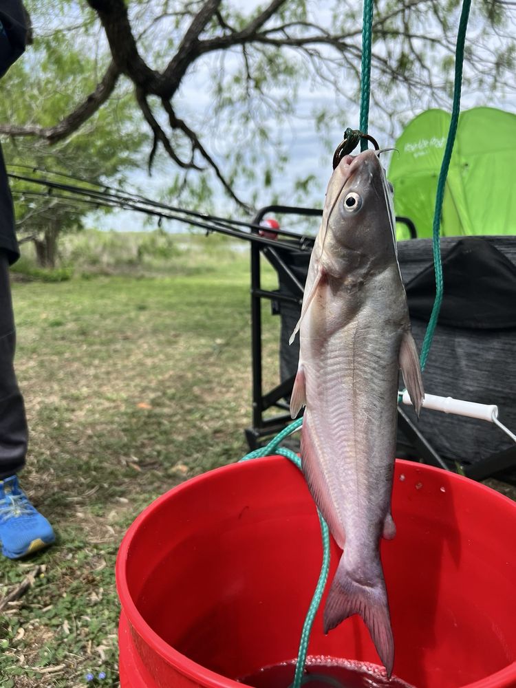 CHOKE CANYON STATE PARK AND RESERVOIR Updated October 2024 99