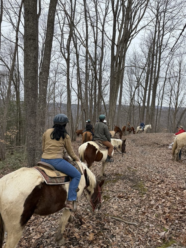 Equestrian Adventures - equestrian in Fayetteville, WV