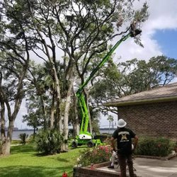 Durance Tree Service - Professional Tree Service in Jacksonville