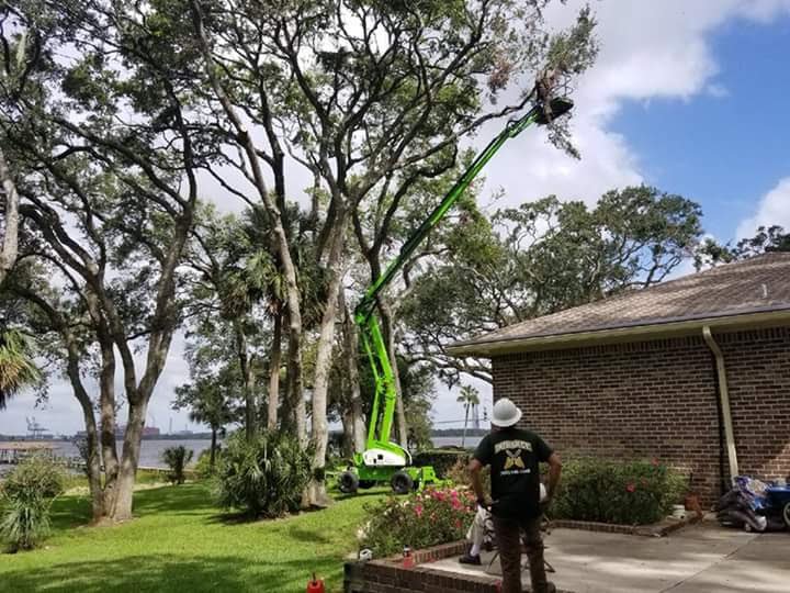 Durance Tree Service - tree service in Jacksonville, FL