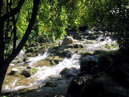 Viktoria Park by null