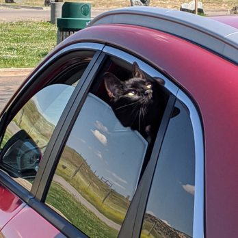 All City Mobile Detailing - Auto Detailing Near Me All City Mobile Detailing - Auto Detailing Near Me