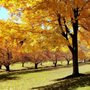 Photo of Hurd Park