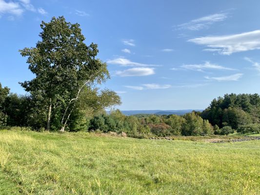 New Salem Cider by null