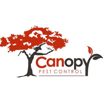 Canopy Pest Control - Pest Control Near Me - San Tan Valley, Arizona